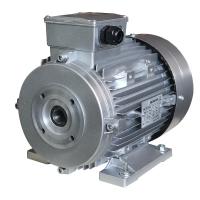 motor de indução assíncrono AR do eixo de 24mm Interpump para arruelas da pressão