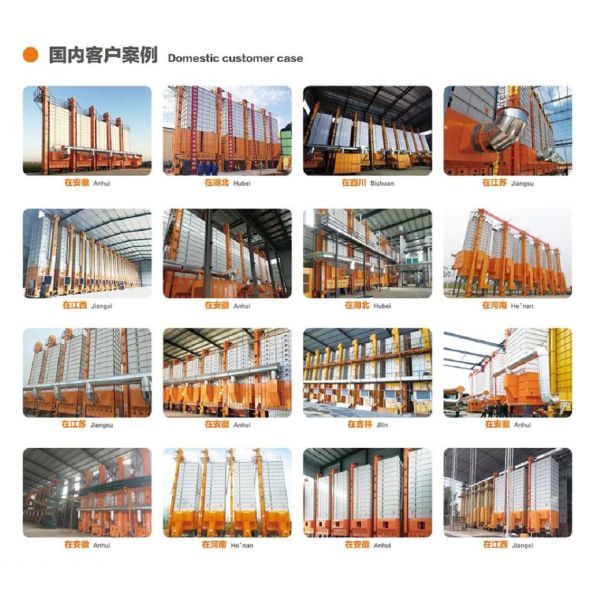 Перекрестный тип машина 12Ton/Batch 220V/380V зерна риса более сухая