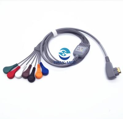 O cabo paciente 5 de Holter ECG do DMS/7/10 conduz Pin 19 com garantia de 6 meses