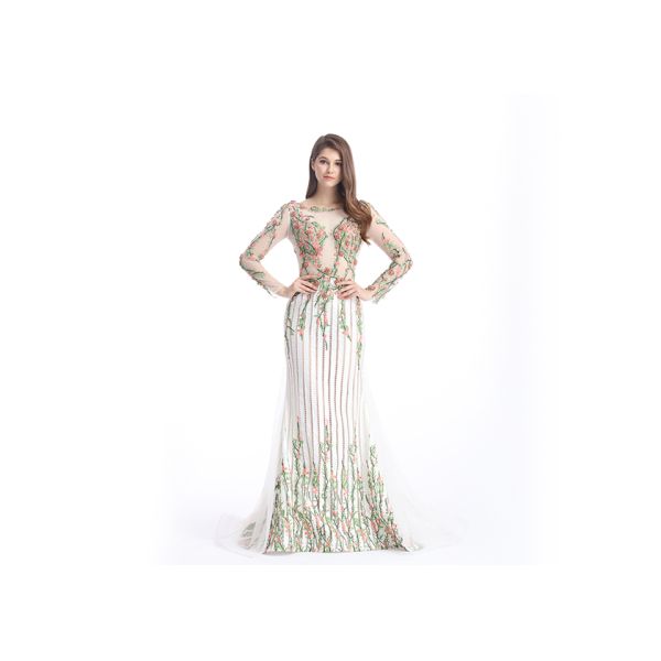 Sheer Prom Celebrity Lace Appliques Long Sleeve Evening Gowns Anti - Wrinkle