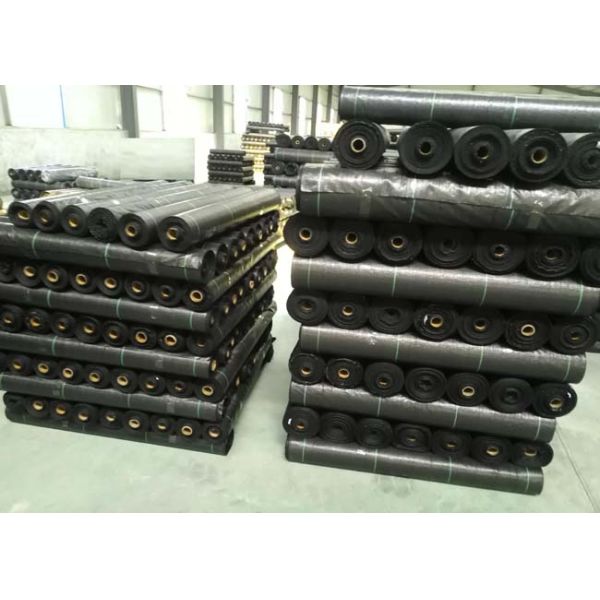 Black Geosynthetic Fabric , Agricultural Anti-grass Ground Cover Weed Mat For Watermelon