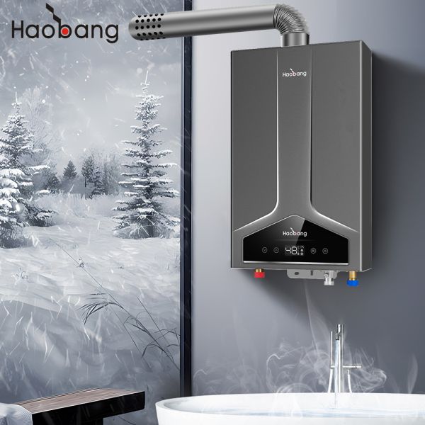 110V-220V Electrical Voltage Balanced Flue Water Heater with Intelligent Type and Oxygen-free Copper Heat Exchanger