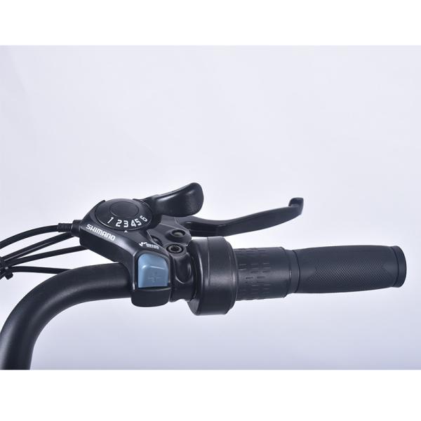 36V Lightweight Ladies Electric Bike 30-40km Range 0.12T Max Loading