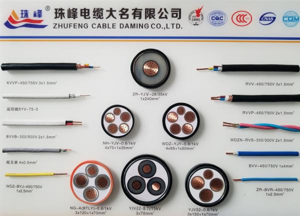 Indoor Outdoor Cat5e UTP/FTP 305m 1000ft LAN Cable for Seamless Network Connection