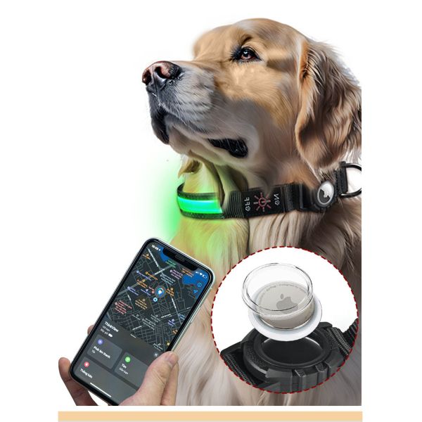 Soft Comfortable Advantage Custom Led Dog Collar with Tracker Case Waterproof Light
