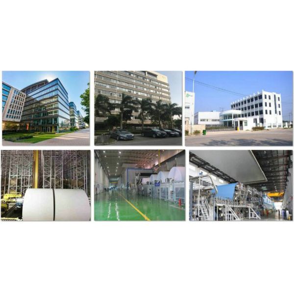 Крен бумаги ремесла качества еды 80гсм 90гсм белый для УПРАВЛЕНИЯ ПО САНИТАРНОМУ НАДЗОРУ ЗА КАЧЕСТВОМ ПИЩЕВЫХ ПРОДУКТОВ И МЕДИКАМЕНТОВ ФСК сумки пшеничной муки