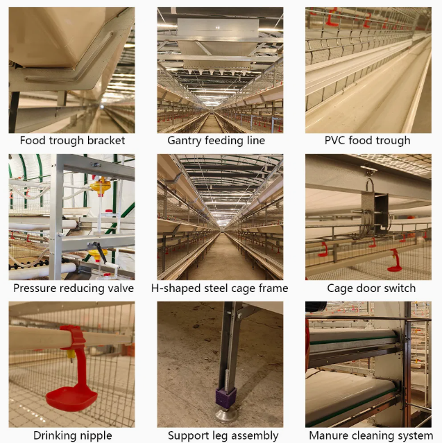 Customizable Modern Smart Automated Control Galvanized Steel Poultry Farm Equipment with Modular Design