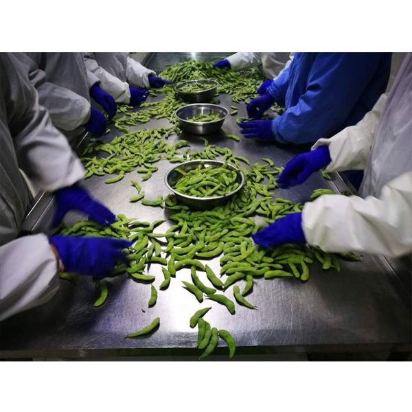 Certified IQF Frozen Edamame Steamed Grade A for Quick and Easy Snacks
