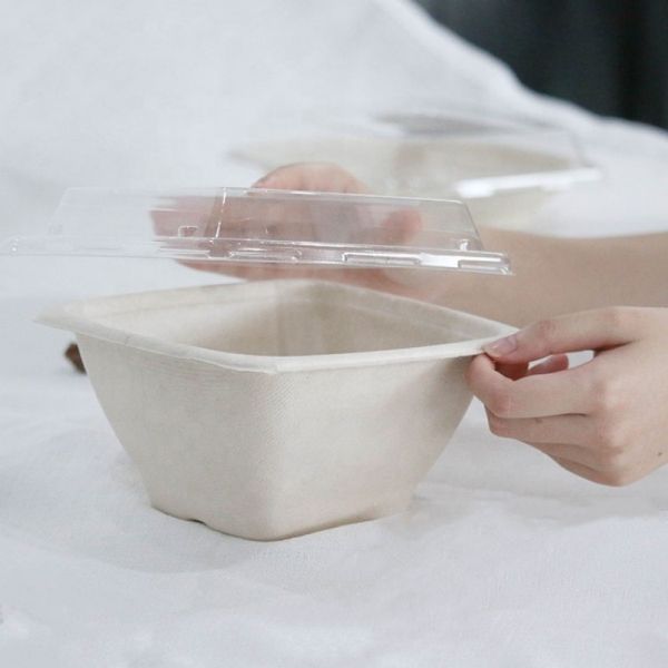 16 24 32oz Biodegradable Sugarcane Bagasse Bowl Fruit Salad Containers Box With Cover