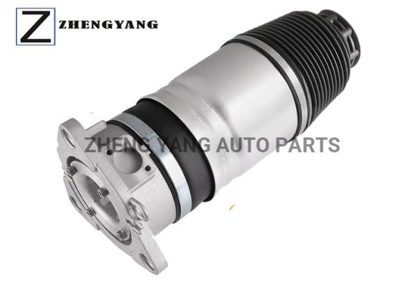Rear Audi A8 Air Strut Replacement Absorbers Suspension 4E0616001N 2002-2010 A8 Quattro