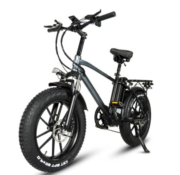 18Ah Lithium Battery Electric Hybrid Bike 750W 20 Inch Fat Tire Mountain Ebike For Adult