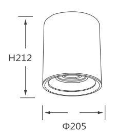 SR307NML 10W20W30W60W series IP65 waterproof surface mounted downlight spotlight Hotel reception room IP65 downlight