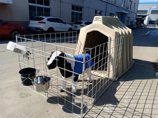 2200 X 1500 X 1550mm Calf Housing Plastic Calf Shelters For Calves Sheep And Goats