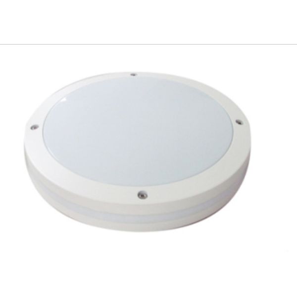 20W moisture proof Outdoor LED Ceiling Light PC diffuser Alumium body 48V
