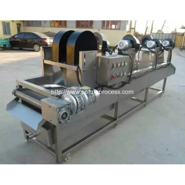 French Fries Production Line