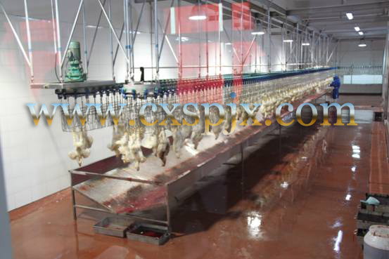 Специализированная машина для убоя цыплят, уток, индейки, гусей 2000BPH для птицы