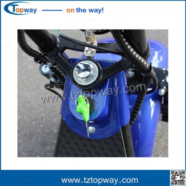 New customized 1000W citycoco 18*9.5 big two wheels electric scooter harley