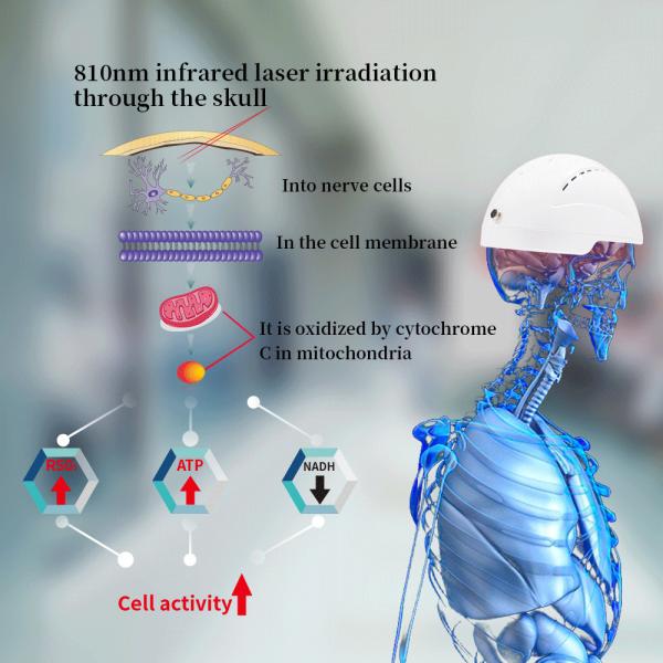 Medical Brain Rehabilition Infrared Transcrial Neuron Injury Physiotherapy Helmet For Depression Treat