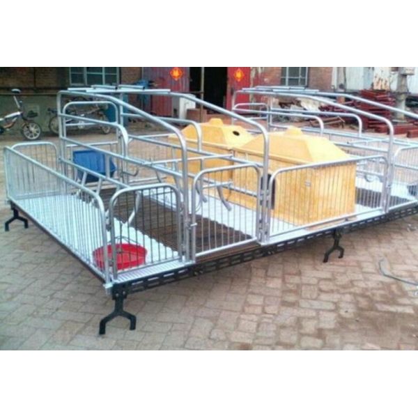 Бройлеры птицы пола предкрылка PSF-01 50mm пластиковые для поросенка