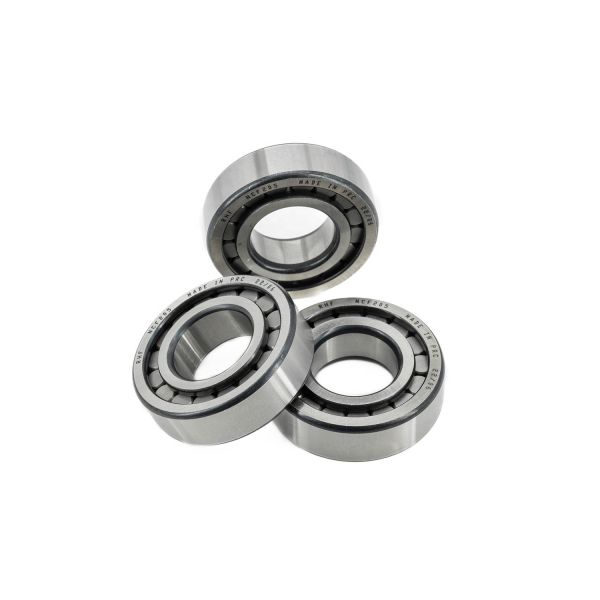 Long Life 50*110*27mm N310 NJ310 NU310 NUP310 Cylindrical Roller Bearings
