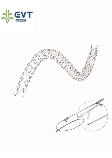 Hydrophobic Coated Ureteric Stents Ureteral Stent With Nitinol Support