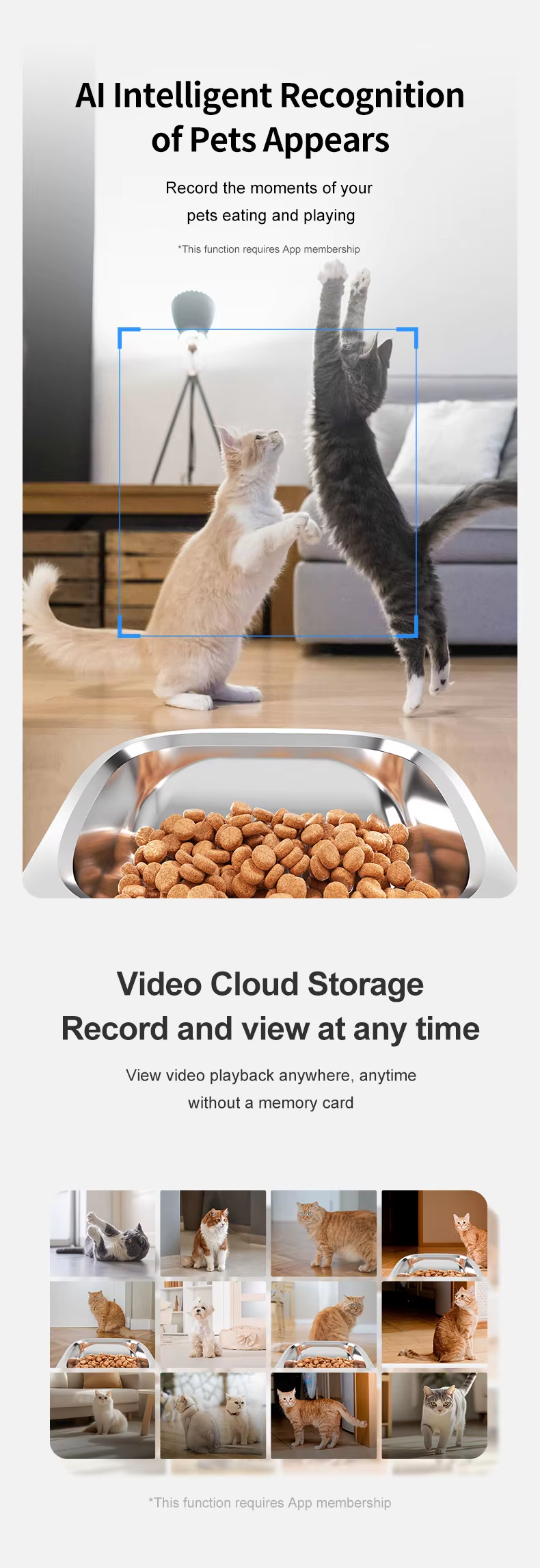 Intelligent Dual Camera AI Feeder for Cat and Dog Solid Pattern Automatic Food Chaser with Eco-Friendly Battery Charging Source