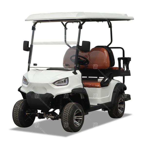 25Mph-40Mph New Energy 2 Seater Golf Cart For Club Leisure Resort