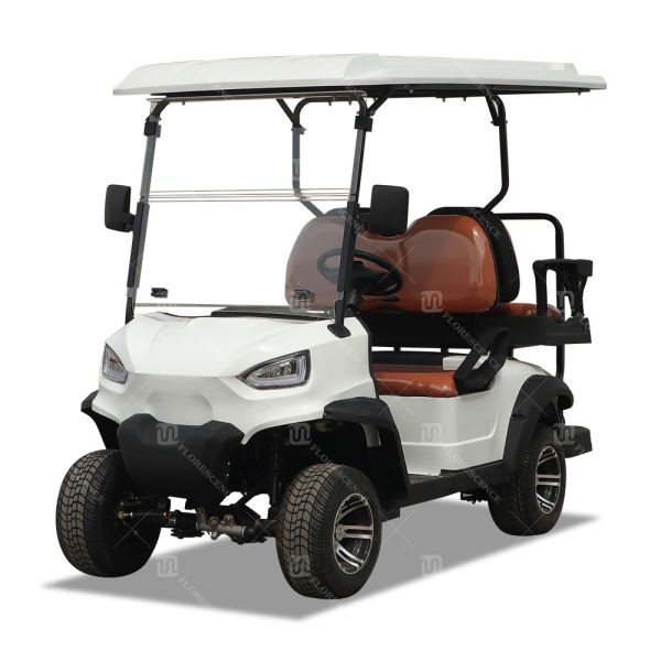 Outdoor All Terrain 2 Seater Golf Cart For Garden Community 60Volt