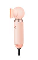 Puissance 800W portative faite sur commande de Logo Ionic Pet Hair Dryer universelle