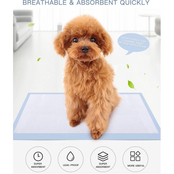 Disposable Pet Pee Pad