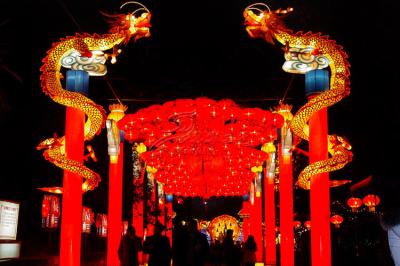 Lanternas chinesas da tela exterior impermeáveis para a decoração do ano novo