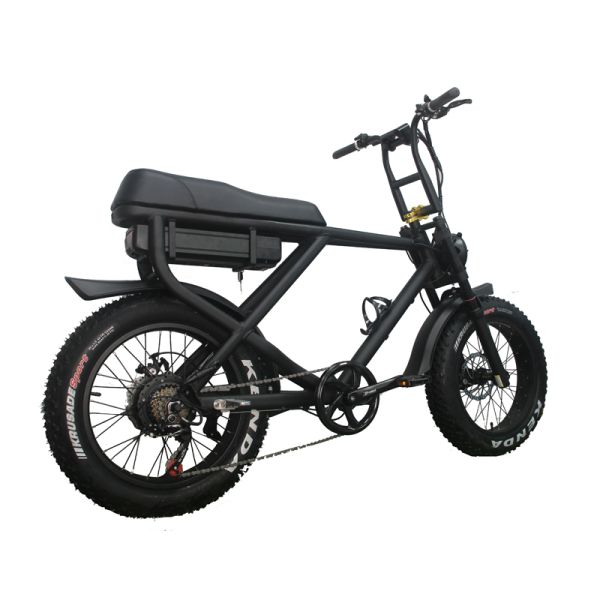 Rear Carrier Battery Position 750W Bafang Motor Electric Bicycle for Urban Commuting