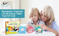 CPSIA Panda Juniors Preschool Educational Toys para a aprendizagem do cuidado do dente