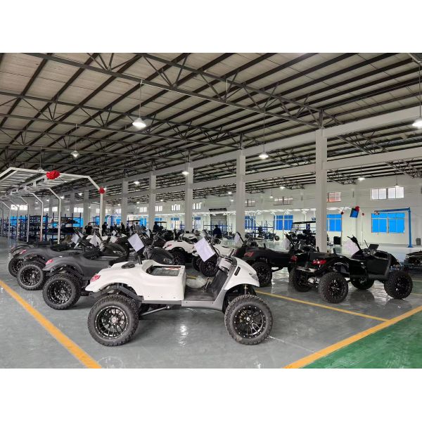 60V 5KW PMSM System 2+2 Seater Golf Cart Key Less Electric Golf Buggy Scooter