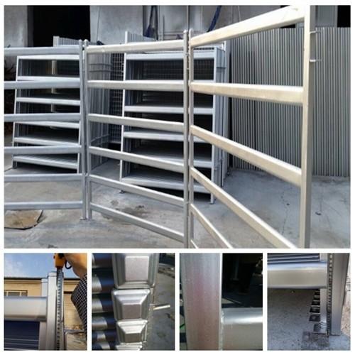 1800mm x 2100mm cattle panels oval pipes 30mm x 60mm ,40mm x 80mm