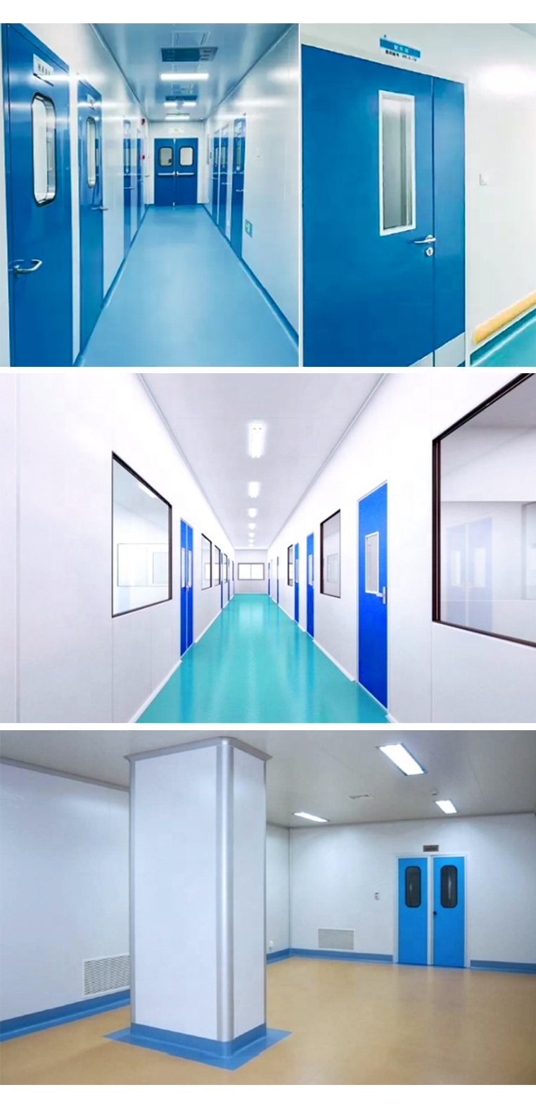 SS Modular Pharmaceutical Clean Room Door Powder Coating