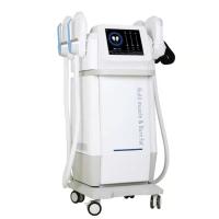 Máquina do emagrecimento do Ems da clínica para a queimadura gorda