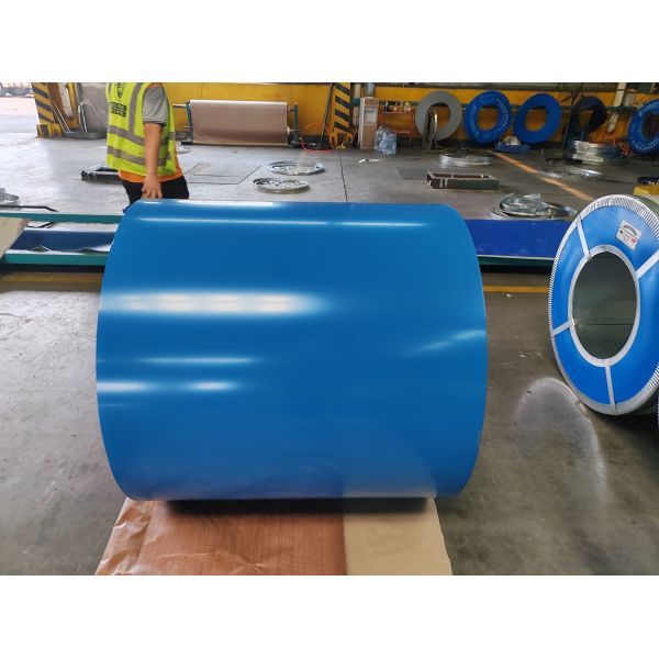 700–1250mm Pre Painted Steel Coil with 5–7μm Back Coating, 10–25μm Top Coating and 508/610mm Coil ID for Building Materials and Electrical Appliances