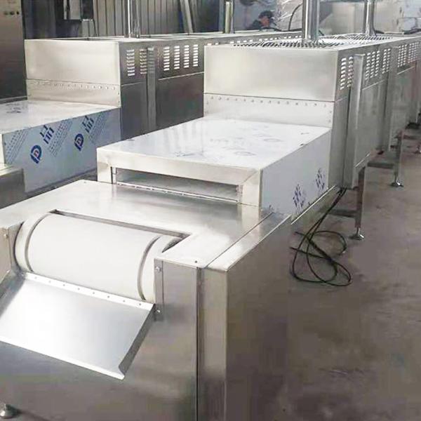 PLC Industrial Continuous Tunnel Dryer 4KW Microwave Drying Of Fruits And Vegetables