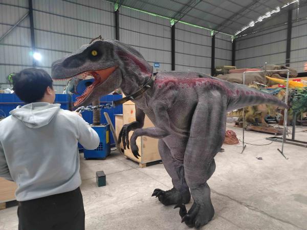 Zigong Fabricante Disfarce de Raptor de Faixa Vermelha de Tamanho Real à Venda