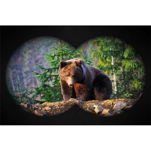 Soft Rubber Covered 12x50 Binoculars Telescope High Definition Film