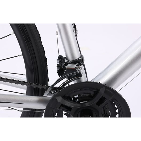 Customization Road Bike with Aluminum Alloy Frame and Disc Brake System 700C Mountainbike