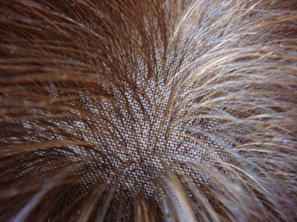 Personnalisé 100 cheveux humains européens en soie top perruque ondulée ou bouclée