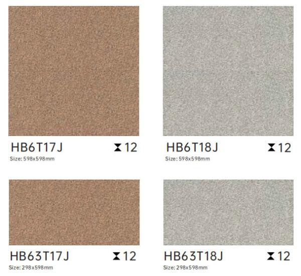 600x600mm Antibacterial Outdoor Porcelain Paving Tile