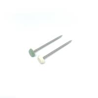 Le plastique exempt d'entretien d'acier inoxydable a dirigé la longueur en nylon des clous PA6 50MM
