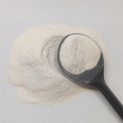 White Powder Acidifier Fumaric Citric Calcium Formate Lactic Lower Stomach Acid PH