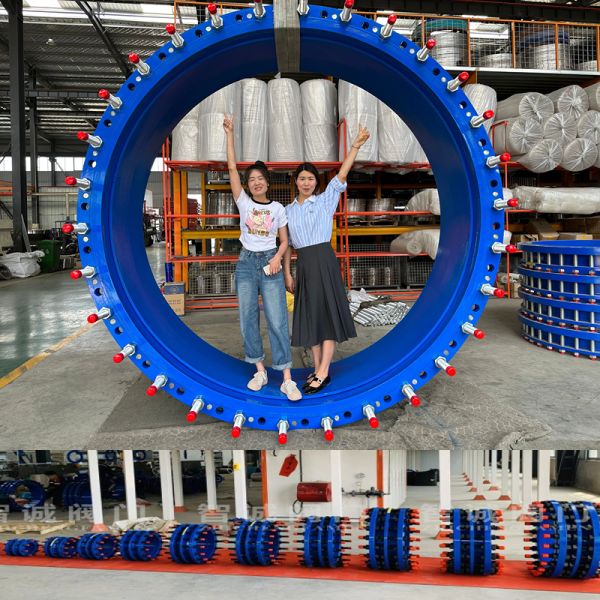 Углеродистая демонтажная сплошная сборка в трубопроводе Синий эпоксидный покрытый бабочка клапан Двойные концы фланца