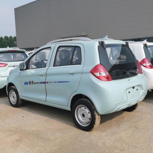 Raysince hot sales model new energy electric car 5 door 4 Seat electric saloon cars from china