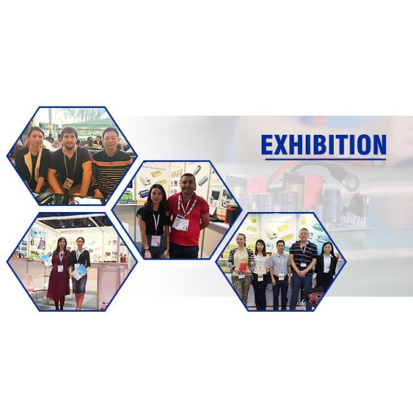 Mantenimiento general 40a 12v 24v 48v Cargador automático de baterías para baterías de plomo y ácido