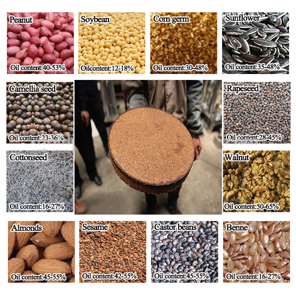 900/1000/1400mm Cold Pressed Argan Oil Press Machine Cocoa Butter Hydraulic Oil Press at Max pressure for working Mpa 55